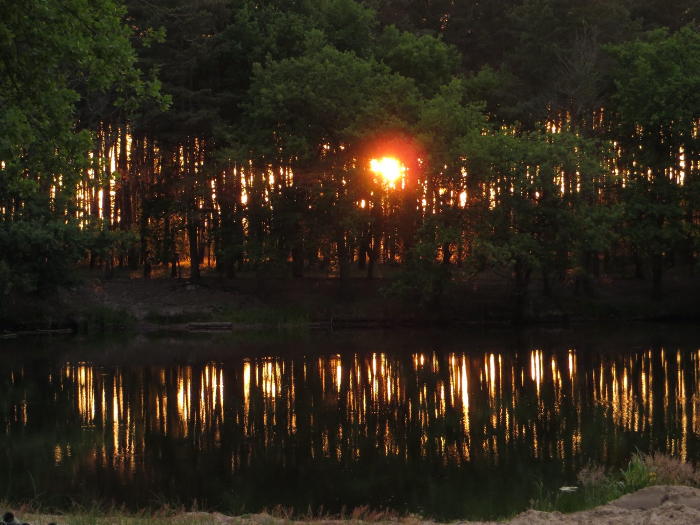 Verzauberndes Sommerabendlicht