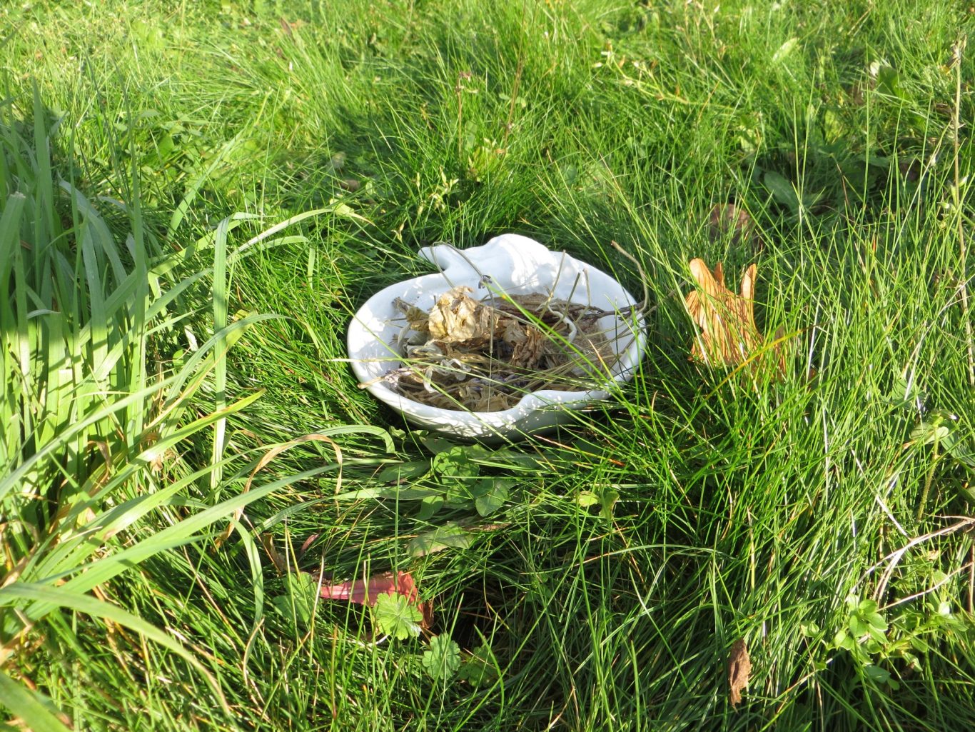 Räuchervorbereitungen